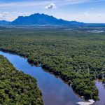 Terra Afogada: uma viagem entre o mangue e a cidade de Vitória