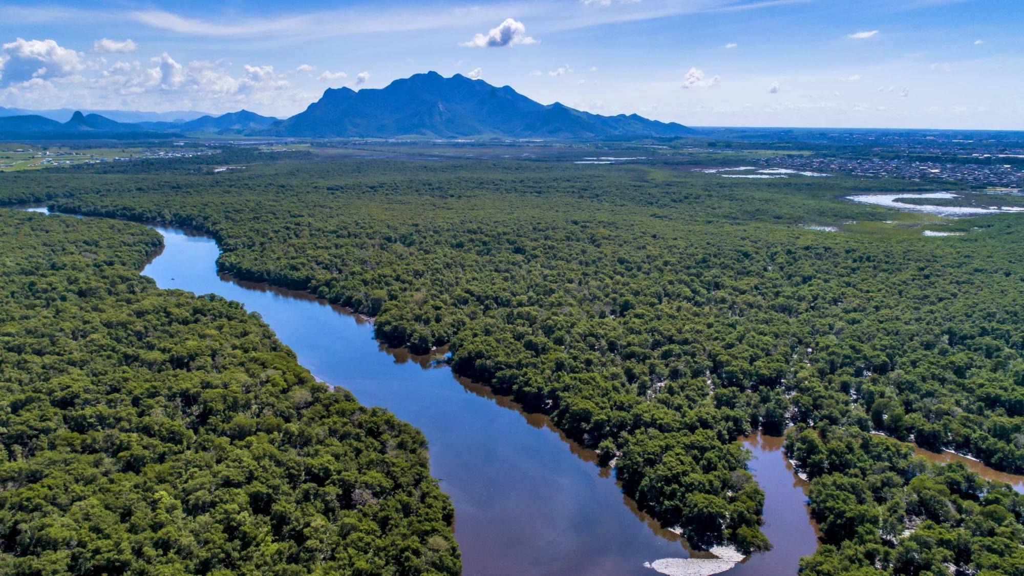 Terra Afogada: uma viagem entre o mangue e a cidade de Vitória