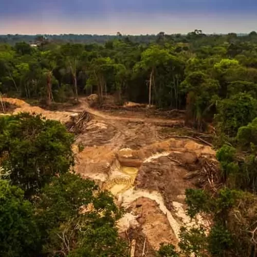ES lidera ranking nacional de recuperação ambiental de áreas degradadas