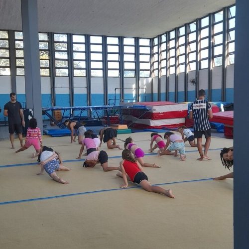 Ginástica: Movimento que transforma