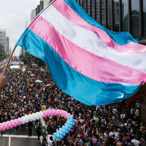Ameaça de retrocesso no cuidado com a saúde de jovens trans